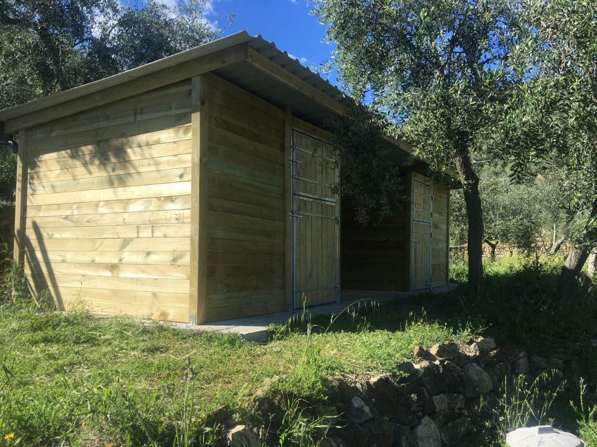 Civezza Agriturismo Oltrealmare מראה חיצוני תמונה