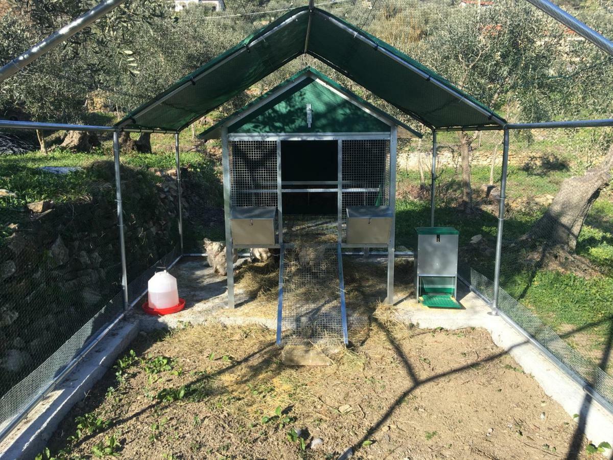 Civezza Agriturismo Oltrealmare מראה חיצוני תמונה